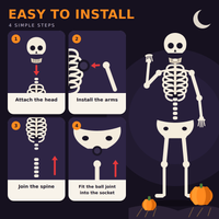 Halloween Skeleton Decoration